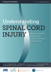 View Companion Booklet as a PDF - Understanding Spinal Cord Injury