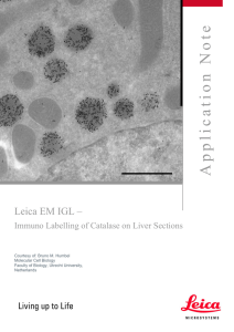 Application_Note_EMIGL_liver_Section