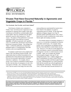 Viruses That Have Occurred Naturally in Agronomic and Vegetable