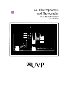 Gel Electrophoresis and Photography