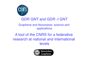 GDR GNT and GDR -I GNT A tool of the CNRS for a federative