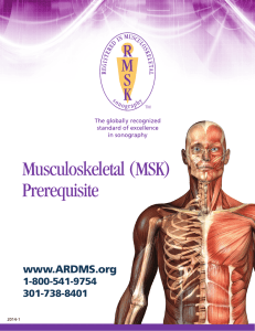 Musculoskeletal (MSK) Prerequisite
