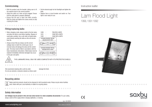 Lam Flood Light - Poole Lighting