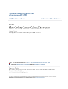 Slow-Cycling Cancer Cells: A Dissertation