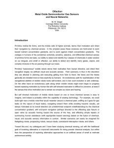 Metal Oxide Semiconductor Gas Sensors