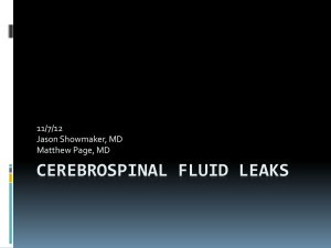 Cerebrospinal Fluid Leaks