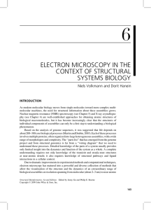 electron microscopy in the context of structural systems biology