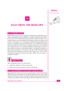 19 ELECTRON MICROSCOPY