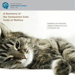 Code of Welfare for Cats