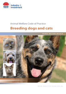 Animal Welfare Code of Practice - Breeding dogs and cats