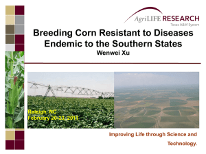 Breeding Corn Resistant to Diseases Endemic to the Southern States