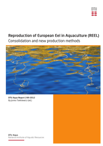 Reproduction of European Eel in Aquaculture (REEL