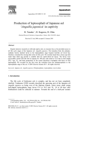 Production of leptocephali of Japanese eel ž / Anguilla