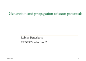 Generation and propagation of axon potentials