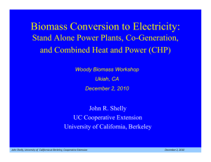 Biomass Conversion to Electricity