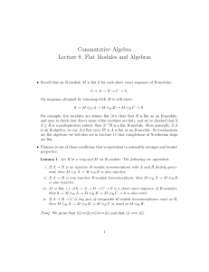 Commutative Algebra Lecture 8: Flat Modules and Algebras