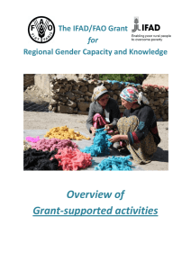 Overview of Grant-supported activities