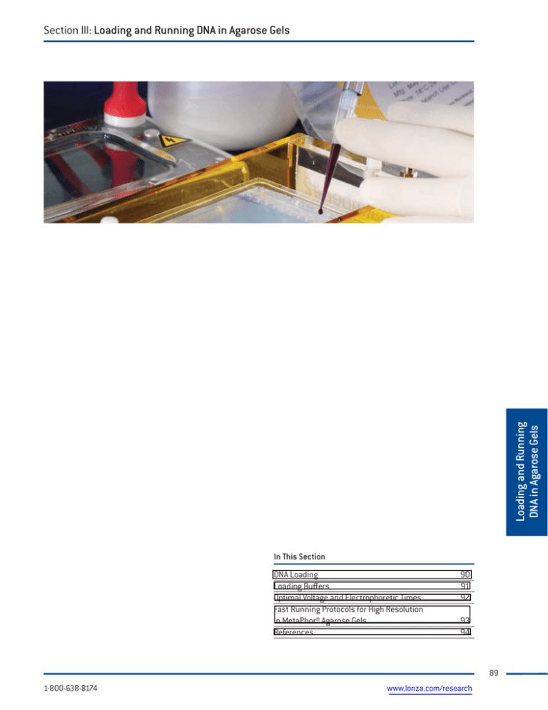 Loading and Running DNA in Agarose Gels Section III