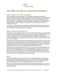 How SMEI can help to create Sales Excellence