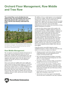 Orchard Floor Management, Row Middle and Tree Row