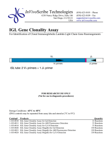 IGL Gene Clonality Assay