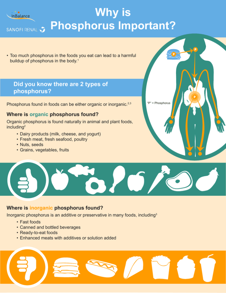 Why Is Phosphorus Important 