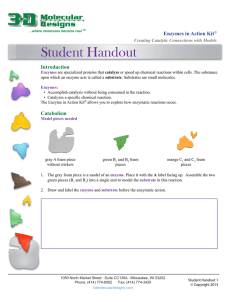 Student Handout - 3D Molecular Designs