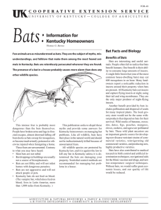 Bats: Information for Kentucky Homeowners