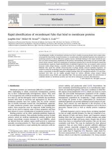 Rapid identification of recombinant Fabs that bind to membrane