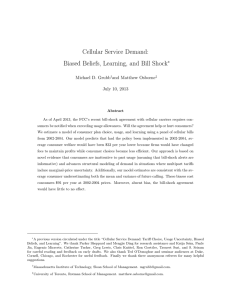 Cellular Service Demand: Biased Beliefs, Learning, and Bill Shock