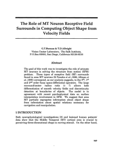 The Role of MT Neuron Receptive Field Surrounds in Computing