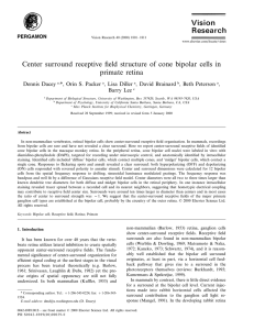 Center surround receptive field structure of cone bipolar cells in
