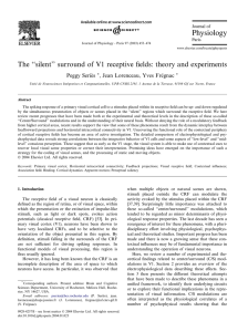 The ``silent`` surround of V1 receptive fields: theory and experiments