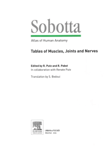 Tables of Muscles, Joints and Nerves