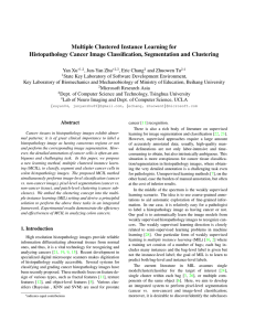 Multiple Clustered Instance Learning for Histopathology Cancer