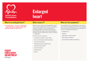 Enlarged heart - British Heart Foundation