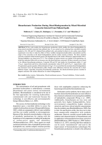 Biosurfactants Production During Diesel Biodegranation by Mixed