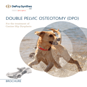 DOUbLE PELVIC OSTEOTOmy (DPO)