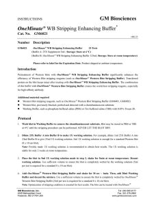 GM Biosciences OneMinute® WB Stripping Enhancing Buffer