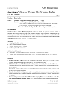 GM Biosciences OneMinute®Advance Western Blot Stripping Buffer