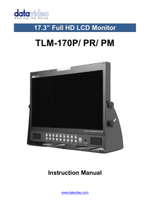 Datavideo TLM