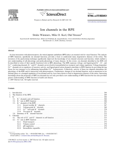 Ion channels in the RPE