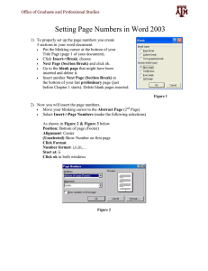 Page Numbering in Word 2003