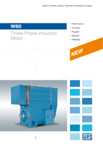 W60 Three-Phase Induction Motor