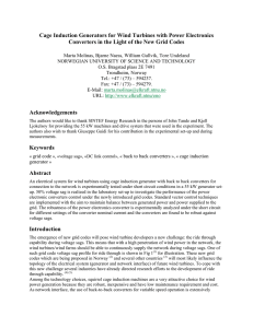 Cage Induction Generators for Wind Turbines with Power