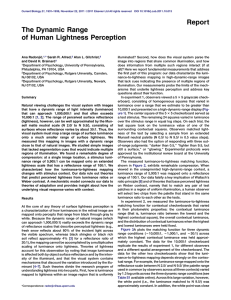 The Dynamic Range of Human Lightness Perception