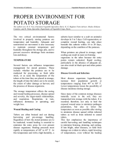 proper environment for potato storage – uc