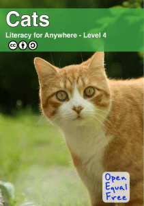 Literacy for Anywhere - Level 4