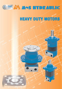heavy duty hydraulic motors