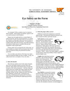 Eye Safety on the Farm